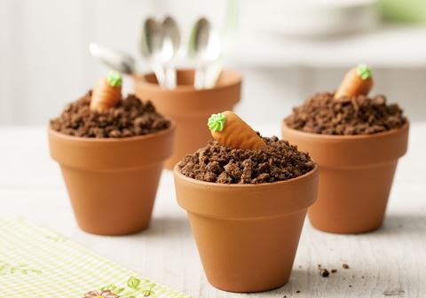 recipe image Schokomuffins "Frisch gepflanzt"