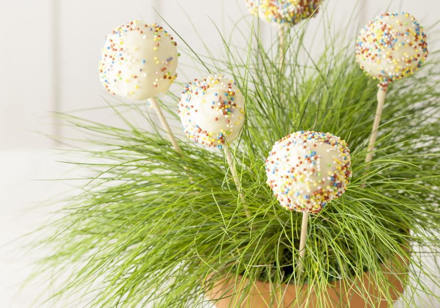 recipe image Cake Pops