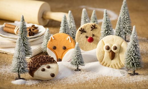 recipe image Fuchs-Kekse - Waldtier-Kekse