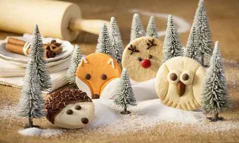 recipe image Eulen-Kekse - Waldtier-Kekse