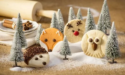 recipe image Eulen-Kekse - Waldtier-Kekse